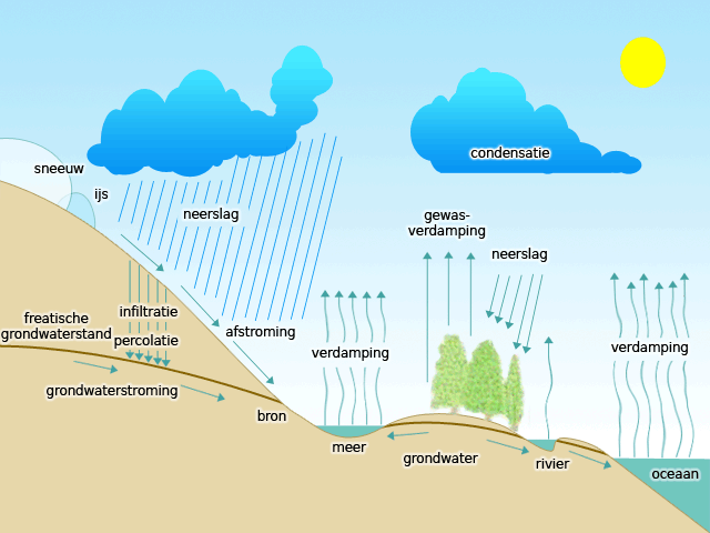 Hydrologische cyclus