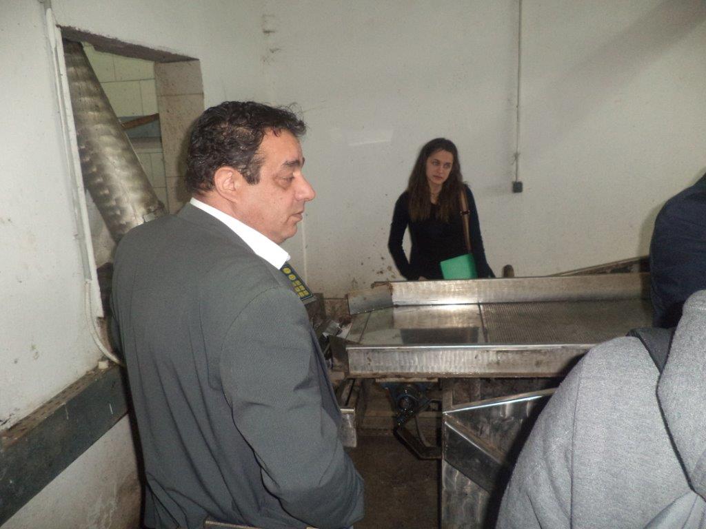 11.3 Mr Hatziandronis expains the entrance of olive fruit in the production line