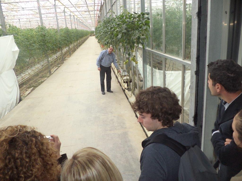 12.7 On-site presentation of the cultivation techniques